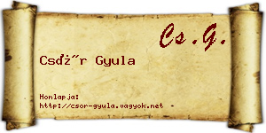 Csór Gyula névjegykártya